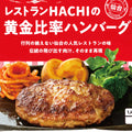 宮城 仙台 レストラン HACHI 黄金比率のハンバーグ 単品